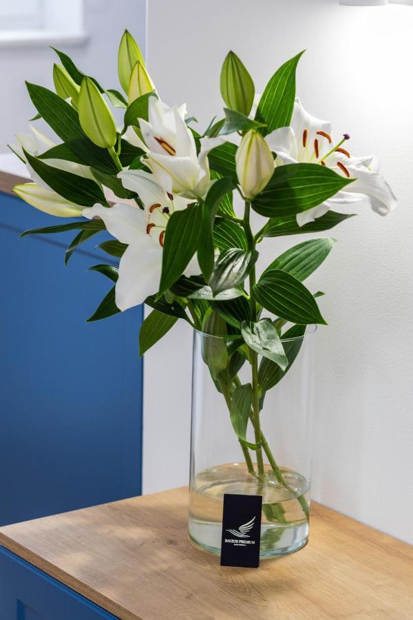 קולובז'ג Baltini Premium Apartament Old Town מראה חיצוני תמונה
